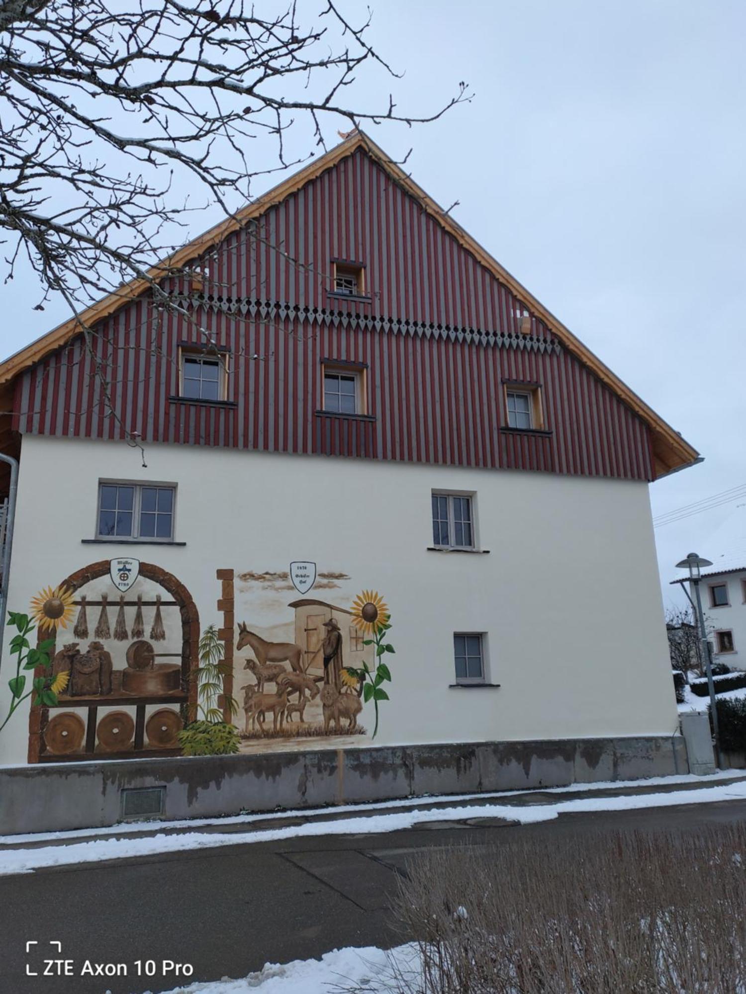 Alte Oelmuehle, Spaeter Schaefershaus Donaueschingen Ngoại thất bức ảnh